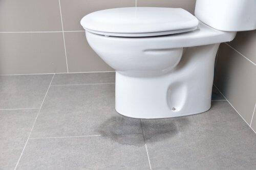 Toilet Leak Repair - 5 Star Plumbing