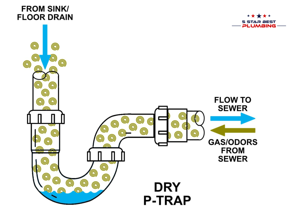 Diagram showing how a dry P-trap allows sewer gas and odors to enter a home. The illustration highlights the importance of the water seal in preventing backflow from the sewer line.